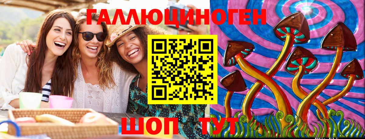 Псилоцибиновые грибы мицелий  Вход с VPN  дарнет шоп  Псилоцибиновые грибы ЛСД  Геленджик 