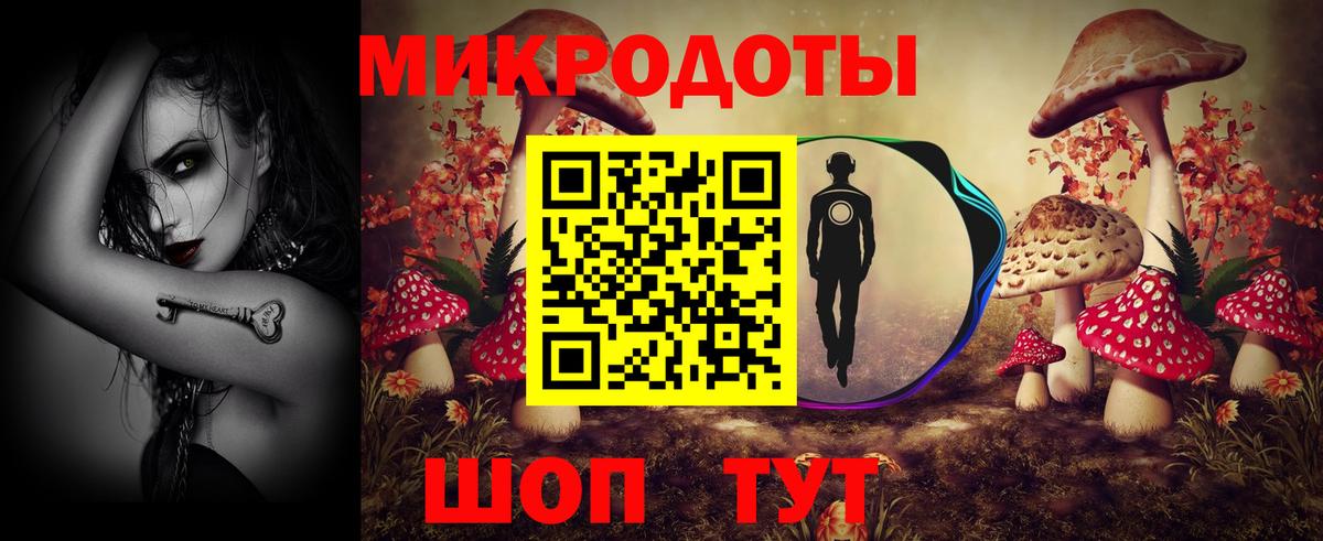 Галлюциногенные грибы Psilocybe Геленджик